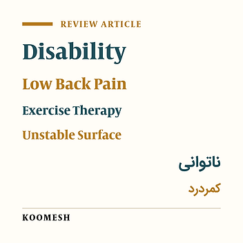 Effect of exercise therapy in an unstable surface on muscle activity pattern in patients with low back pain: A systematic review
