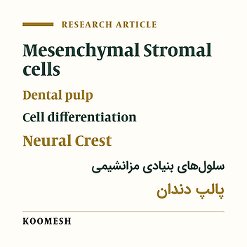 Isolation and identification of mesenchymal and neural crest characteristics of dental pulp derived stem cells