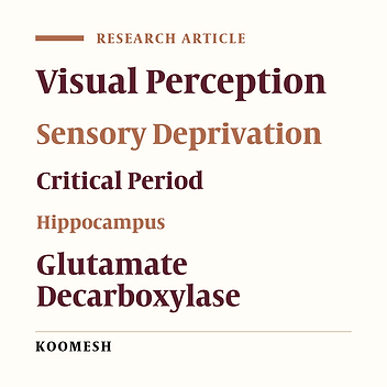 Visual deprivation during critical period of brain development inhibits expression of glutamic acid decarboxylase enzyme in rat hippocampus
