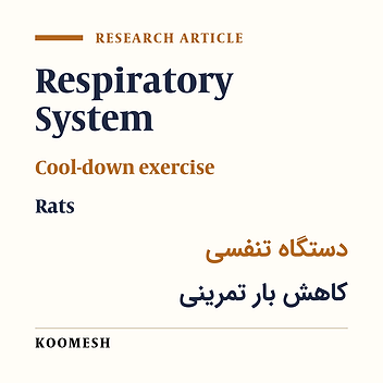 Effects of two and three weeks of tapering on lower respiratory tract in the maturing rat
