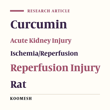 Therapeutic effects of Curcumin on renal tissue damages induced by ischemia reperfusion in rat
