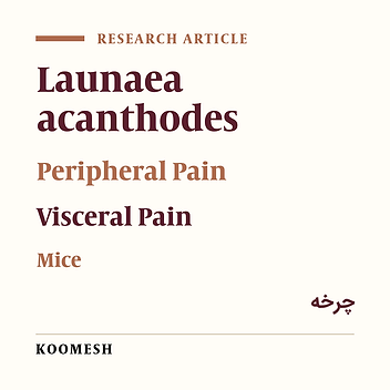 Antinociceptive effects of aqeous extract Launaea acanthodes gum in mice