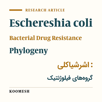 Investigation of phylogenetic diversity among Eschereshia coli isolates recovered from hospitalized patients