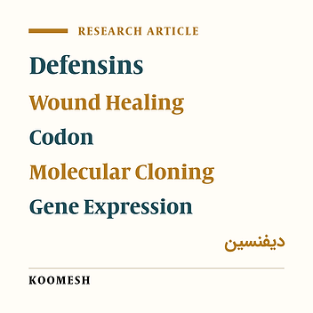 Design, construction, cloning and expression of beta Defensin and its effect on wound healing