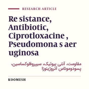 Evaluation of the ciprofloxacin effect on resistant isolates of Pseudomonas aeruginosa in In-vitro and In-vivo