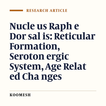 Quantitative age related changess in the nucleus raphe dorsalis of the rat