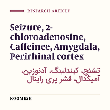 Effect of intra -perirhinal injection of 2-chloroadenosine on amygdaloid kindled seizures in rats