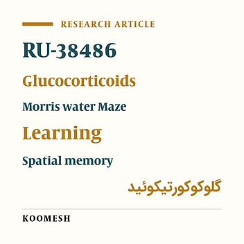Modulation of spatial memory by amygdala’s glucocorticoid receptors