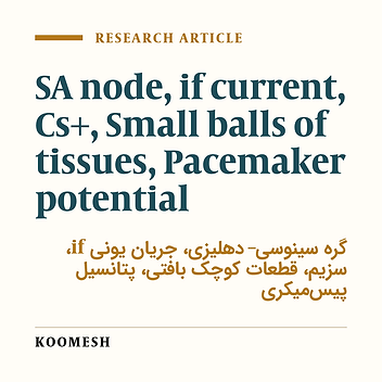 Regional differences in the role of if current in pacemaker potential within the small balls of tissues of sino-atrial (SA) node