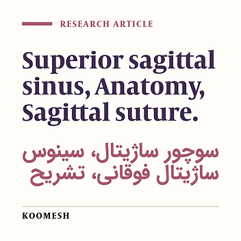 Anatomical relationship of superior sagittal sinus  sagittal suture