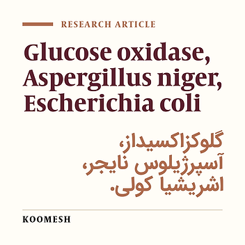 Isolation of Aspergillus niger glucose oxidase gene and cloning of that prokaryotic host