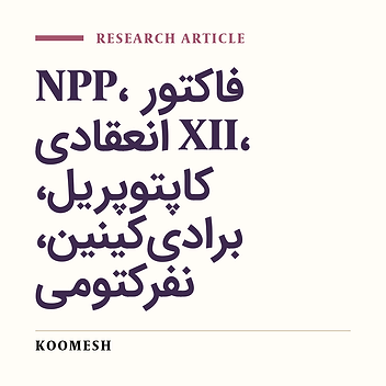 Role of bradykinin in the actions of “New Pressor Protein” related to human plasma βFXIIa
