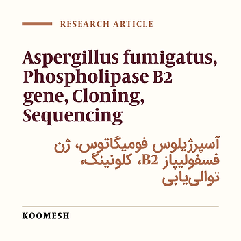 Cloning and sequencing of partial plb2 gene of Aspergillus fumigatus