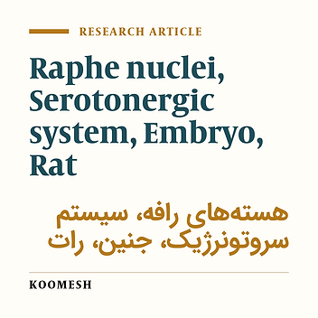 Neurogenic shifting of raphe nuclei in rat’s embryo