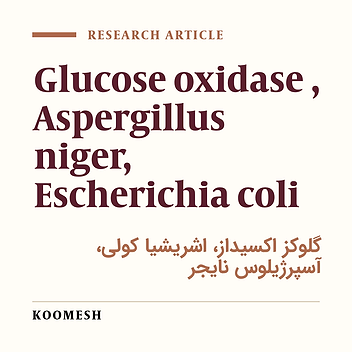 Cloning of glucose oxidase gene in PKK233-3