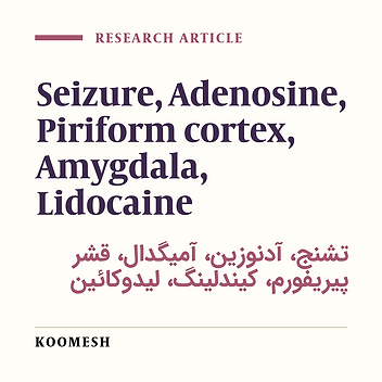 Adenosine A1 receptors of amygdala has not anticonvulsant effects on piriform cortex kindled seizures in rats