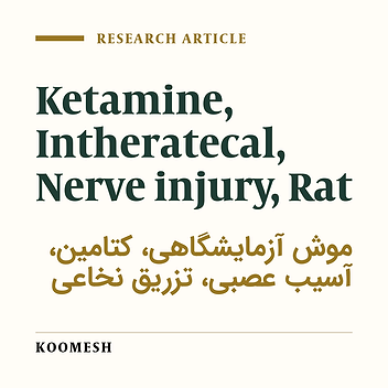 Histopathological effects of ketamine with preservative on the rat’s spinal cord