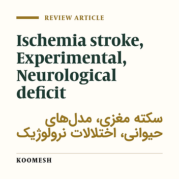 Mini-review for methods of induction experimental ischemia stroke: type of model, evaluation ischemic damage and neurological deficit