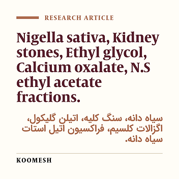 The preventive effects of ethyl acetate fractions from aqueous and ethanolic extract of Nigella sativa L. seeds on calcium oxalate stones in Wistar rat