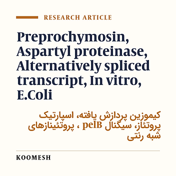 Production of full length and splicing form of chymosin using pETexpression system in E-coli and investigation its enzyme activity and preplasmic secretion