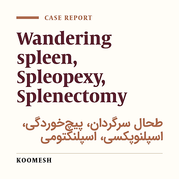 Acute torsion of wandering spleen: report of one case