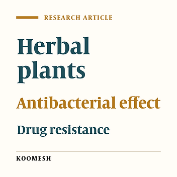 Antibacterial effects of hydro-alcoholic extracts of Ziziphora tenuior, Teucrium polium, Barberis corcorde and Stachys inflate