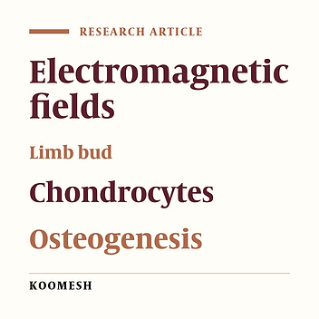 Effects of low frequency electromagnetic fields on chondrogenesis and osteogenesis of embryonic chick limb bud