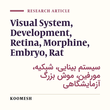 Effects of oral morphine consumption during pregnancy on retina development of the Wistar rat embryo