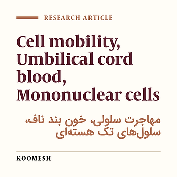 A study of graft possibility of human umbilical cord blood mononuclear cells into irradiated rat’s bone marrow