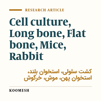 Comparison of osteoblast cells growth in flat and long bones in mice and rabbits