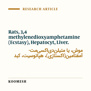 Effects of of 3,4-methylendioxymethamphetamine (ecstasy) on rat liver structure