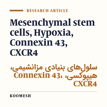 Effects of %1 acute hypoxia on gene expression of connexin43 and CXCR4 in human bone marrow derived mesenchymal stem cells
