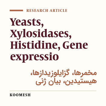 Secretive expression of bacterial β-xylosidase gene including hexahistidin-tag in Pichia pastoris