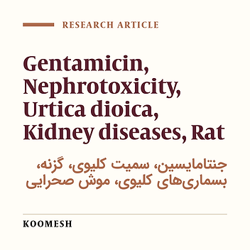 Therapeutic effects of Urtica dioica methanolic extract on gentamicin induced nephrotoxicity in rats