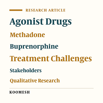 Challenges of addiction treatment with opioid agonist drugs from the perspective of stakeholders: A qualitative study