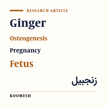 Osteogenesis effect of ginger (Zingiber officinale) hydroalcoholic extract in mouse embryos