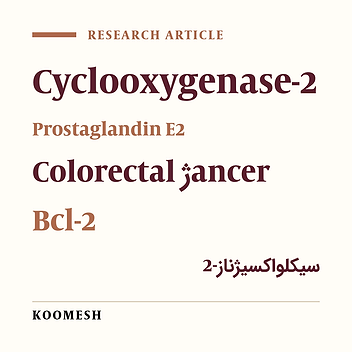 The Role of Cyclooxygenase-2 in Signaling Pathways Promoting Colorectal Cancer