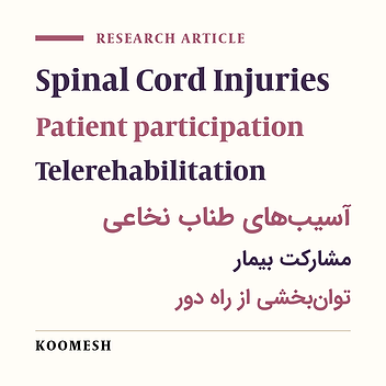 The effect of tele-rehabilitation on the participation of people with spinal cord injury: secondary analysis from a randomized controlled trial
