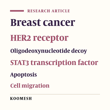 Anti-cancer effects of the combined treatment of trastuzumab and decoy oligodeoxynucleotides to target STAT3 transcription factor on SK-BR-3 breast cancer cell line