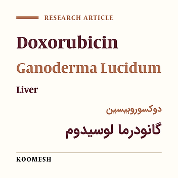 Anti-inflammatory and anti-oxidative effects of Ganoderma lucidum on liver injury induced by doxorubicin in rats