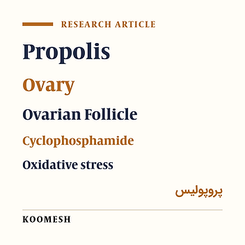 The effects of the proposed hydro alcoholic extract on inhibition of ovarian changes caused by chemotherapy with cyclophosphamide in rats