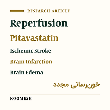 Evaluating the neuroprotective effects of pitavastatin in reperfusion injuries in the focal and transient model of cerebral ischemia in rat