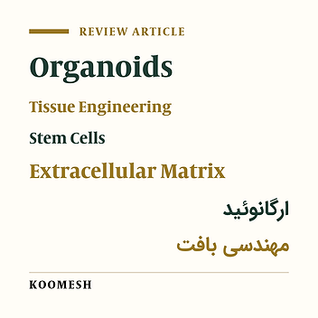 Organoids: from engineering to medical applications, a review article