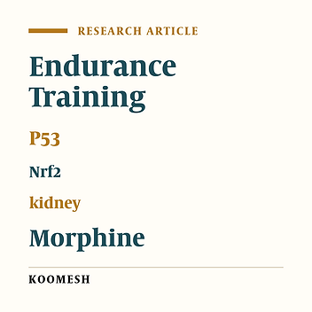 Evaluation of P53 and Nrf2 protein levels in kidney tissue after 8 weeks of endurance training in diabetic rats with morphine withdrawal syndrome