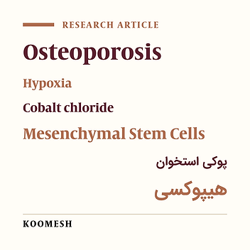 Effect of human adipose-derived mesenchymal stem cells preconditioned with cobalt chloride for hypoxia induction on ovariectomy-induced osteoporosis