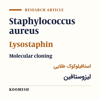 Cloning, expression and purification of recombinant prolysostaphin protein and evaluating its in vitro antistaphylococcal activity