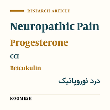 Preventive effects of progesterone against neuropathic pain responses in a rat model of chronic constriction injury