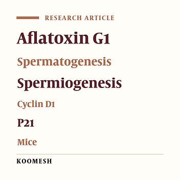 Relationship between synthesis of P21 and Cyclin D1 proteins and histomorphometric parameters of mice testicular tissue in presence of Aflatoxin G1