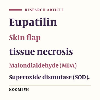 Effects of oral gavage treatment of Eupatilin on protection of skin flaps in rats