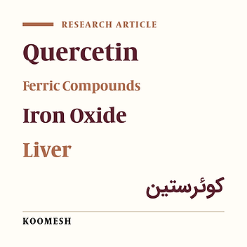 Histopathological effects of quercetin on liver tissue damage induced by iron oxide and iron oxide nanoparticles in Wistar rats